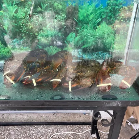 μ 度假居 内亚卡瓦里