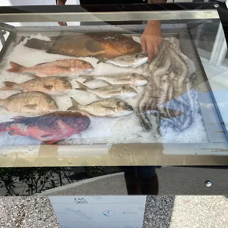 Nyaraló μ Néa Karváli