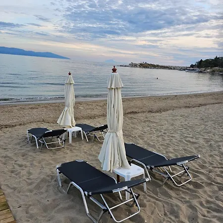 μ * Nea Karvali