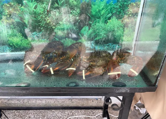 μ Vakantiehuis Nea Karvali